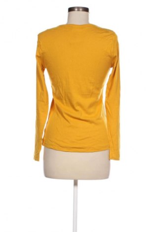 Damen Shirt Cecilia Classics, Größe M, Farbe Gelb, Preis 13,49 €