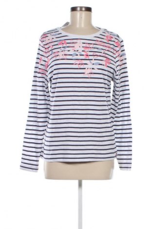 Damen Shirt Kangaroos, Größe M, Farbe Mehrfarbig, Preis € 23,99