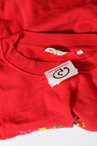 Damen Shirt Naf Naf, Größe S, Farbe Rot, Preis € 23,99