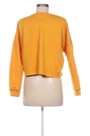 Damen Shirt Primark, Größe S, Farbe Orange, Preis 5,99 €