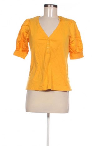 Damen Shirt Who What Wear, Größe M, Farbe Orange, Preis € 56,37