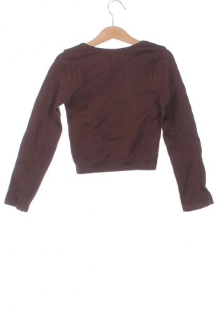 Damen Shirt Zara, Größe XS, Farbe Braun, Preis 9,99 €