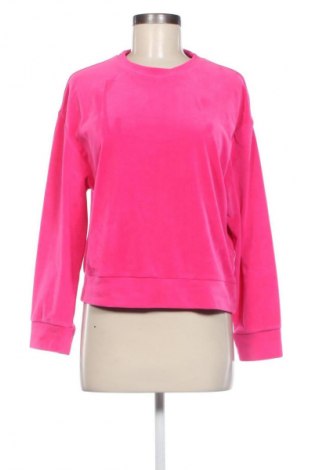 Damen Shirt Zara, Größe S, Farbe Rosa, Preis 9,99 €