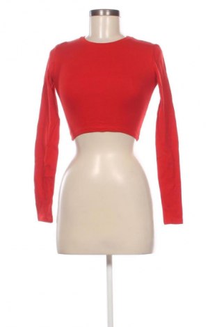 Damen Shirt Zara, Größe M, Farbe Rot, Preis € 18,99