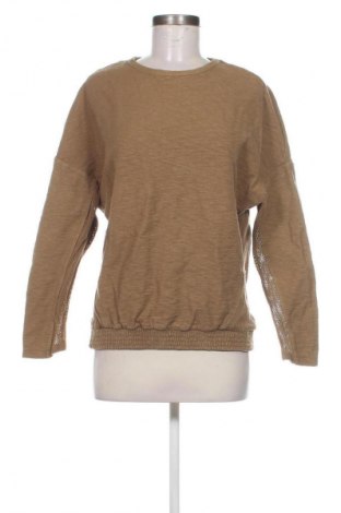 Damen Shirt Zara Trafaluc, Größe M, Farbe Beige, Preis € 13,81