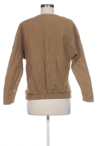 Damen Shirt Zara Trafaluc, Größe M, Farbe Beige, Preis € 8,99