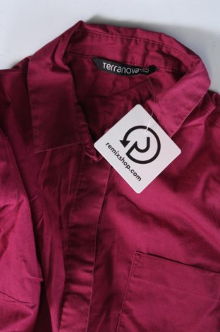 Damenbluse Terranova, Größe XS, Farbe Rot, Preis 5,99 €