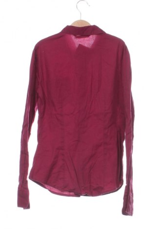 Damenbluse Terranova, Größe XS, Farbe Rot, Preis 5,99 €