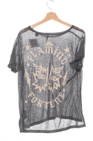 Damen T-Shirt Maison Scotch, Größe XS, Farbe Grau, Preis 27,18 €