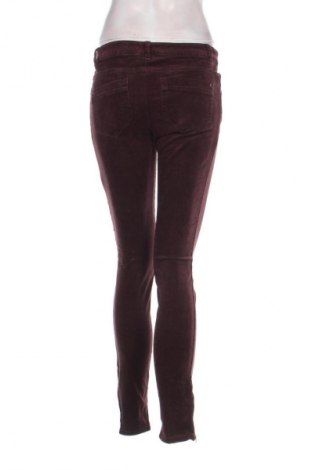 Damen Cordhose Yessica, Größe S, Farbe Rot, Preis 20,49 €