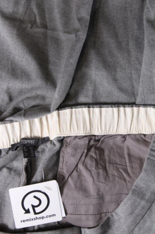 Damenhose Esprit, Größe L, Farbe Grau, Preis 28,99 €