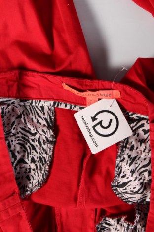 Damenhose Mango, Größe XL, Farbe Rot, Preis € 17,00