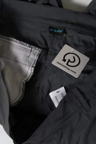 Damenhose Polarino, Größe XL, Farbe Grau, Preis 13,99 €