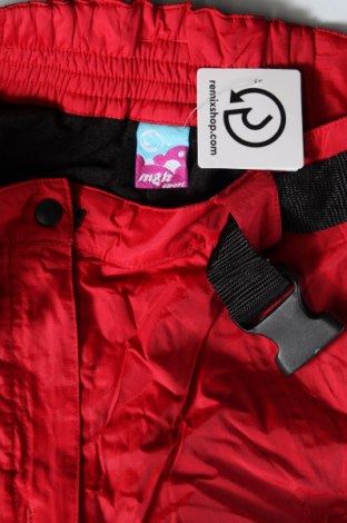 Damenhose für Wintersport, Größe M, Farbe Rot, Preis 40,99 €