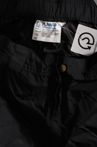 Damenhose für Wintersport Planam, Größe M, Farbe Schwarz, Preis 67,99 €