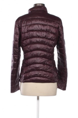 Damenjacke, Größe M, Farbe Lila, Preis € 33,99