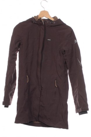 Damenjacke Icepeak, Größe XXS, Farbe Braun, Preis € 61,99