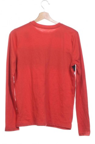 Kinder Shirt Abercrombie Kids, Größe 14-15y/ 168-170 cm, Farbe Rot, Preis € 24,55