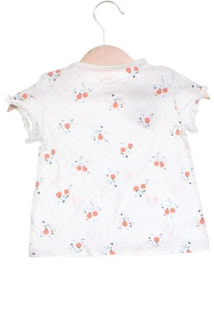 Dziecięcy T-shirt Baby Club, Rozmiar 9-12m/ 74-80 cm, Kolor Kolorowy, Cena 26,97 zł