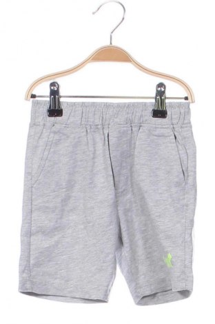 Kinder Shorts Idexe, Größe 3-4y/ 104-110 cm, Farbe Grau, Preis € 11,99