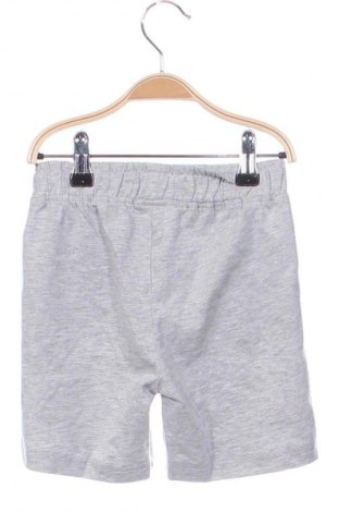 Kinder Shorts Idexe, Größe 3-4y/ 104-110 cm, Farbe Grau, Preis € 11,99