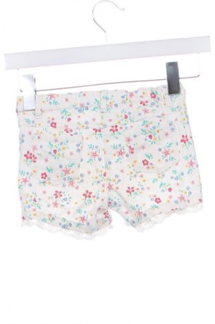 Kinder Shorts LCW, Größe 5-6y/ 116-122 cm, Farbe Mehrfarbig, Preis € 7,16