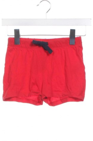 Pantaloni scurți pentru copii Pepperts!, Mărime 8-9y/ 134-140 cm, Culoare Roșu, Preț 36,00 Lei