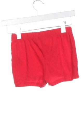 Pantaloni scurți pentru copii Pepperts!, Mărime 8-9y/ 134-140 cm, Culoare Roșu, Preț 36,00 Lei