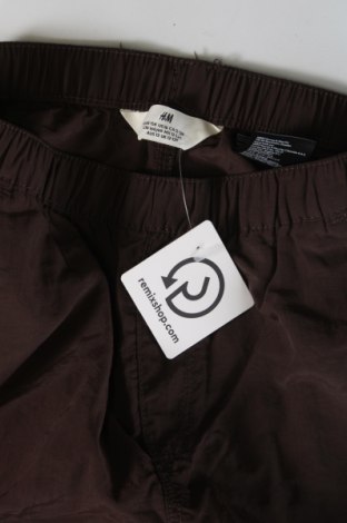 Pantaloni de trening, pentru copii H&M, Mărime 11-12y/ 152-158 cm, Culoare Maro, Preț 42,99 Lei