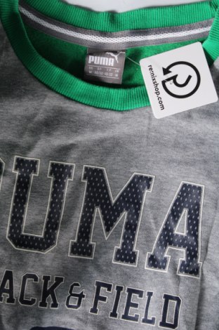 Herren Shirt PUMA, Größe M, Farbe Mehrfarbig, Preis € 38,49