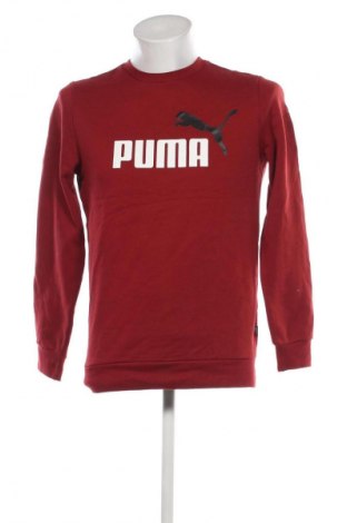 Herren Shirt PUMA, Größe S, Farbe Braun, Preis 38,49 €