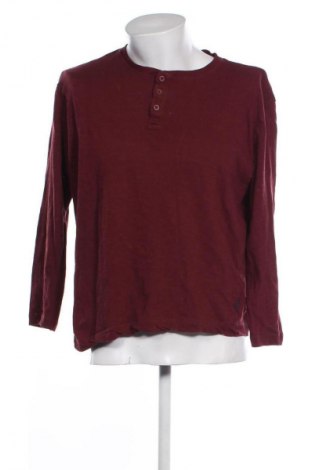 Herren Shirt Springfield, Größe L, Farbe Rot, Preis € 13,84