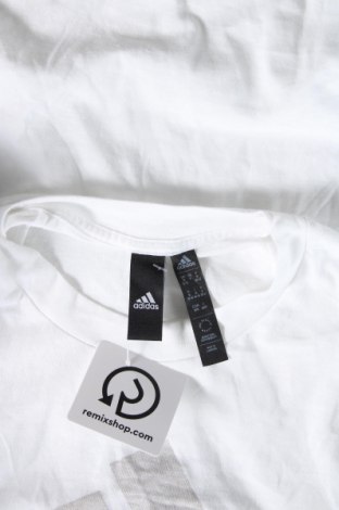 Ανδρικό t-shirt Adidas, Μέγεθος M, Χρώμα Λευκό, Τιμή 16,99 €