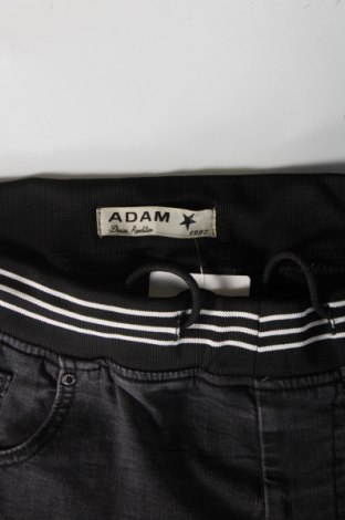 Herren Jeans Adam, Größe L, Farbe Grau, Preis € 19,95