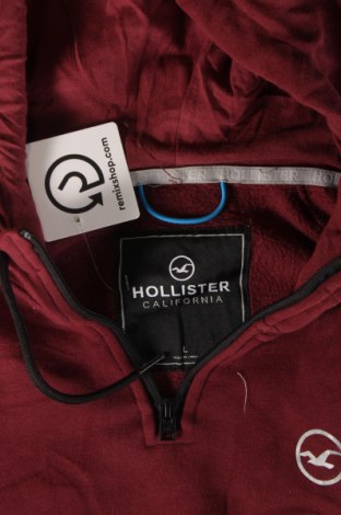 Ανδρικό φούτερ Hollister, Μέγεθος L, Χρώμα Κόκκινο, Τιμή 25,99 €