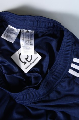 Męskie spodnie sportowe Adidas, Rozmiar S, Kolor Niebieski, Cena 153,99 zł