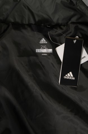 Ανδρικό μπουφάν Adidas, Μέγεθος XXL, Χρώμα Πράσινο, Τιμή 135,55 €