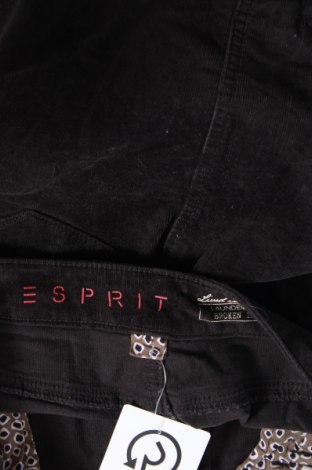 Пола Esprit, Размер M, Цвят Кафяв, Цена 17,99 лв.