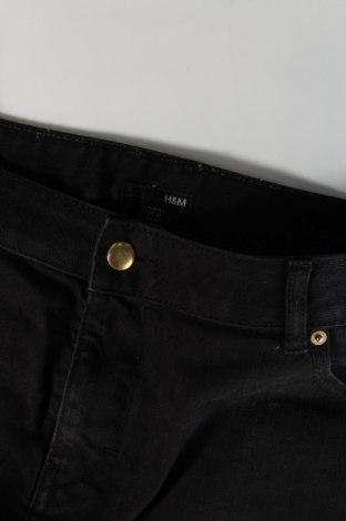 Φούστα H&M, Μέγεθος XL, Χρώμα Μαύρο, Τιμή 15,00 €