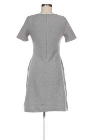 Kleid French Connection, Größe S, Farbe Grau, Preis € 20,30