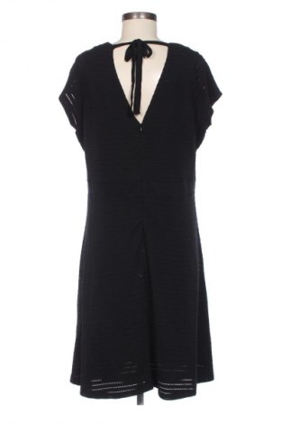 Kleid S.Oliver Black Label, Größe XL, Farbe Schwarz, Preis 46,99 €