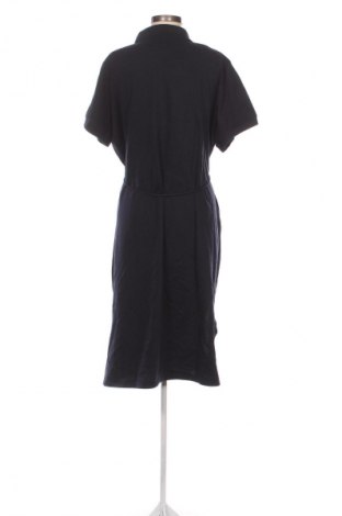 Kleid Tommy Hilfiger, Größe XXL, Farbe Blau, Preis € 174,99