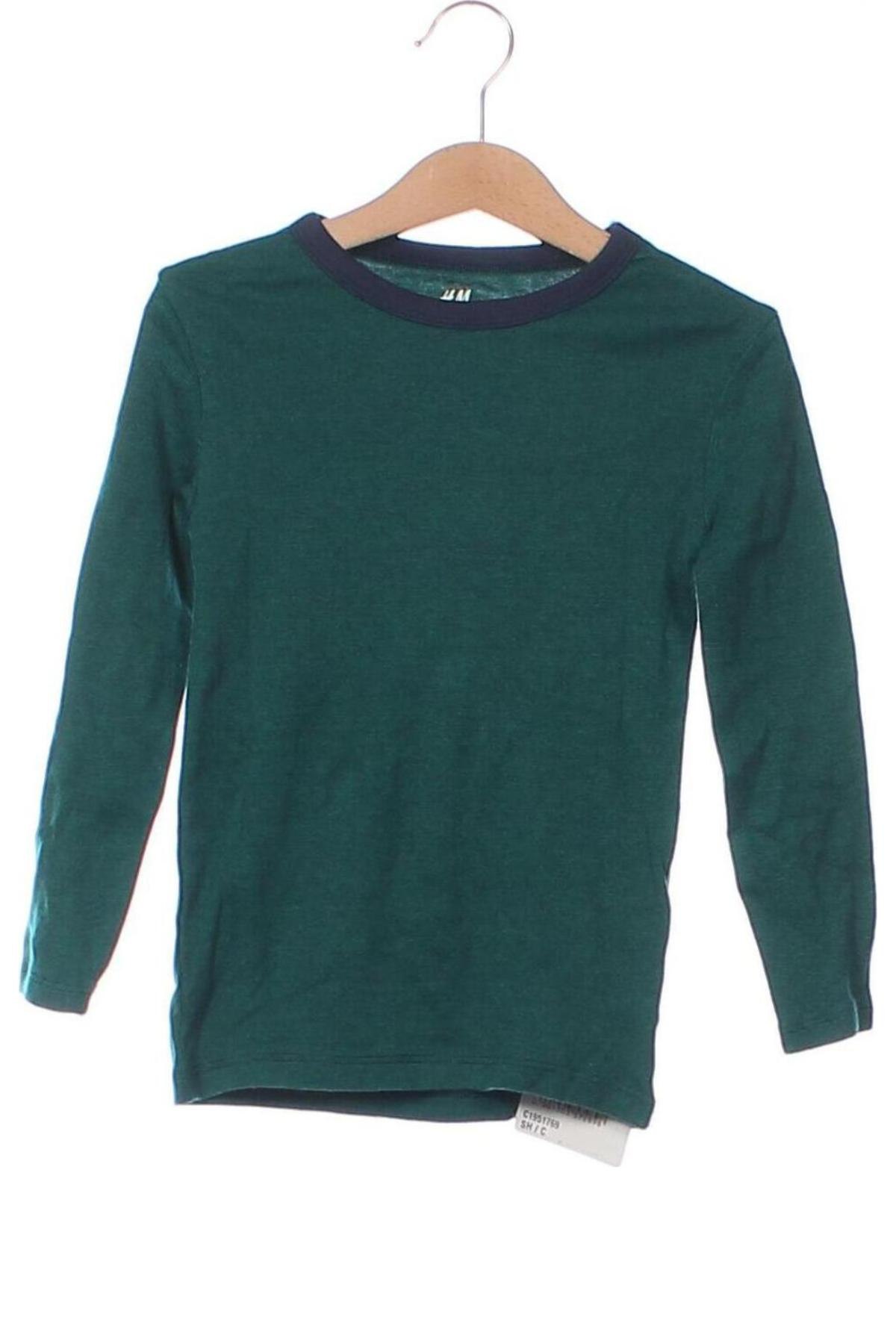 Bluză pentru copii H&M, Mărime 4-5y/ 110-116 cm, Culoare Verde, Preț 36,99 Lei