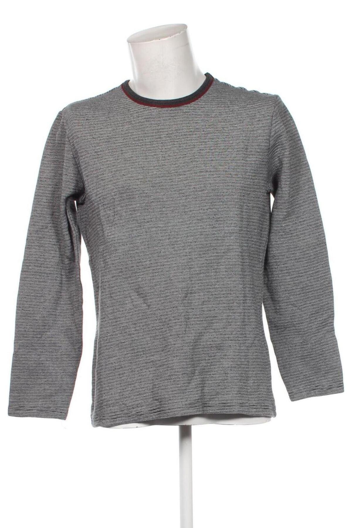 Herren Shirt Intimissimi, Größe L, Farbe Mehrfarbig, Preis € 13,49