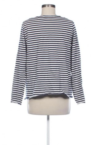 Damen Shirt Big Star, Größe L, Farbe Mehrfarbig, Preis € 17,36