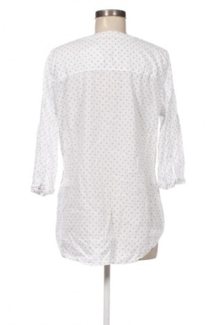 Γυναικεία μπλούζα Bonita, Μέγεθος XL, Χρώμα Πολύχρωμο, Τιμή 10,00 €