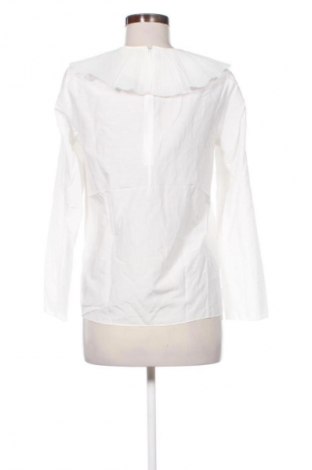 Damen Shirt COS, Größe M, Farbe Ecru, Preis 30,57 €