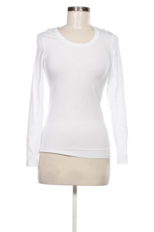 Damen Shirt Engelbert Strauss, Größe XS, Farbe Weiß, Preis € 17,46