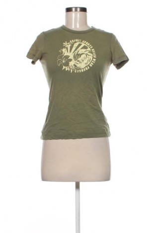 Damen Shirt Esprit, Größe S, Farbe Mehrfarbig, Preis € 11,99