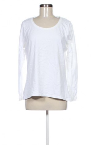 Damen Shirt Gina Benotti, Größe XL, Farbe Weiß, Preis € 10,00